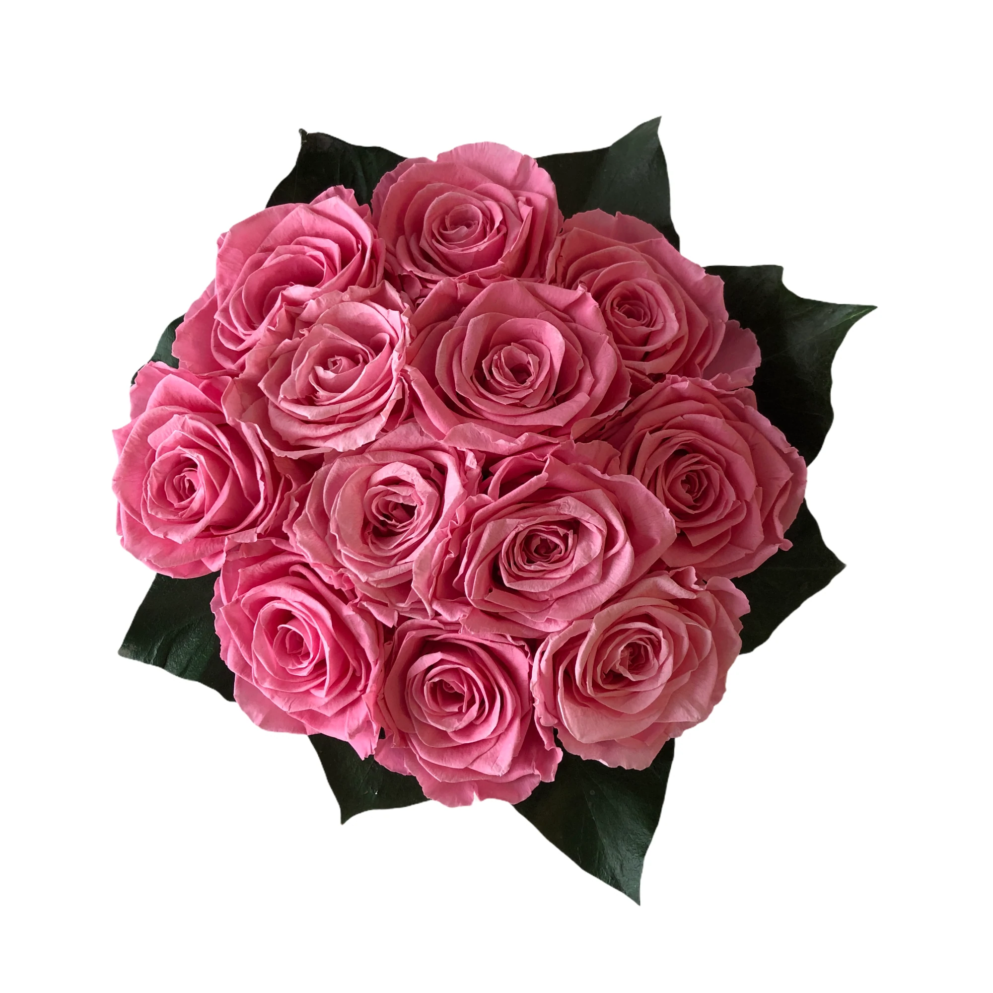 SUTILEZA_ COLECCIÓN PALABRAS PARA MUJER - Imagen 3