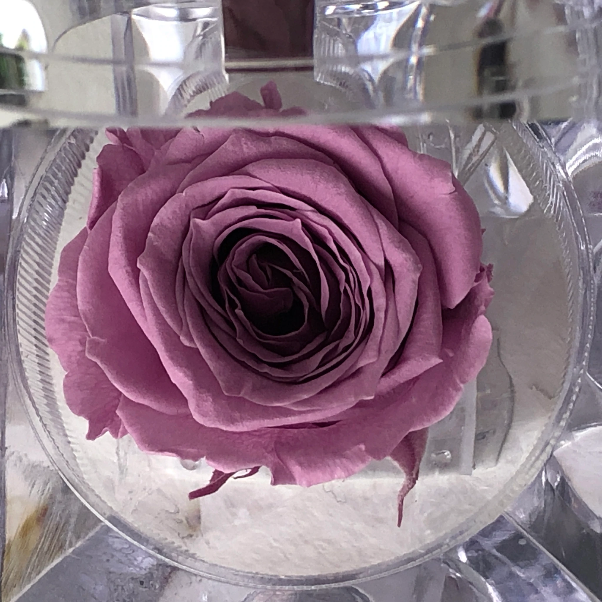 JOYERO LILAC - Imagen 2