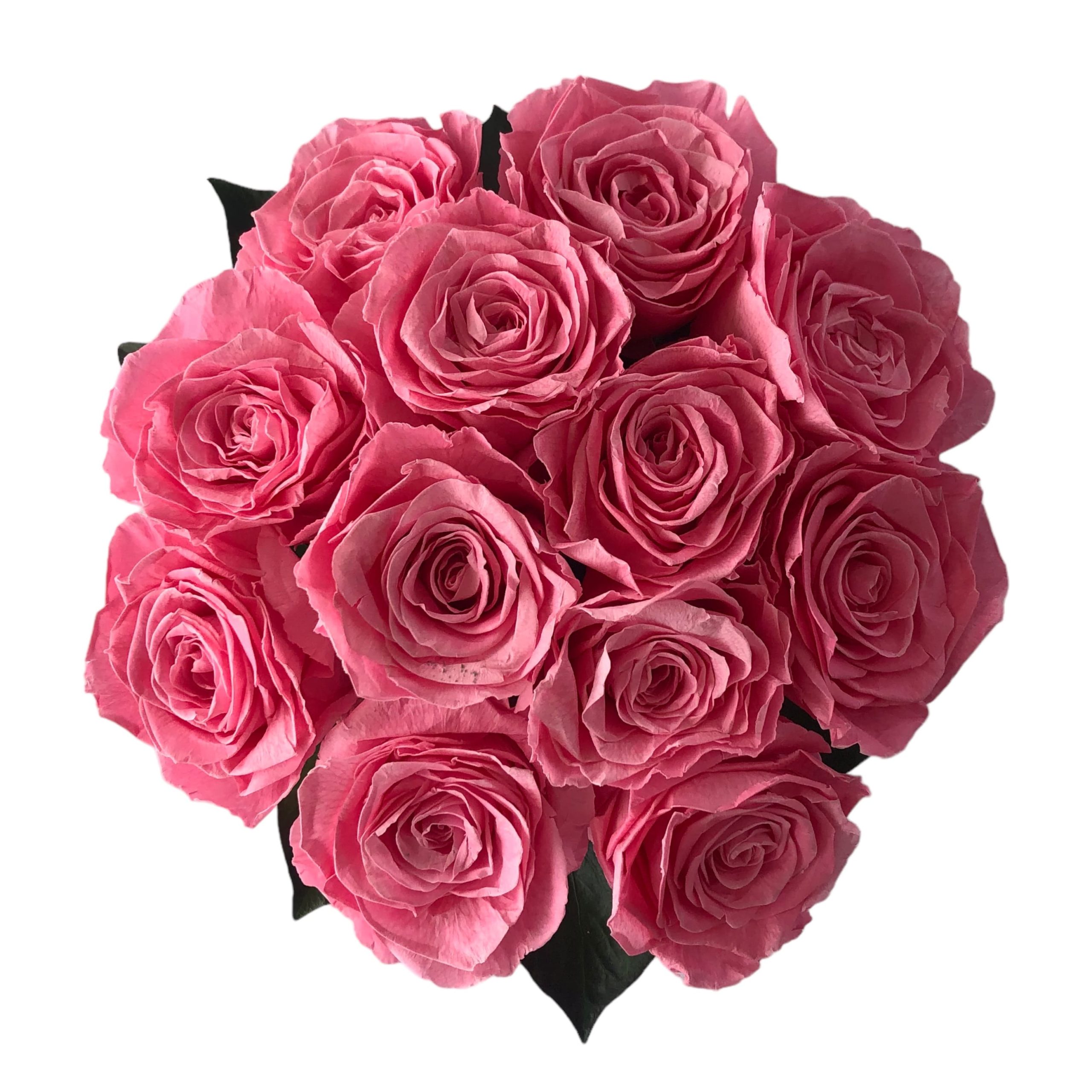 SUTILEZA_ COLECCIÓN PALABRAS PARA MUJER - Imagen 4