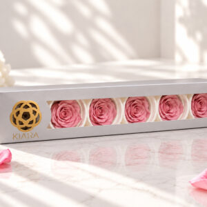 ROSA SPLENDID X 6 - ROSAS PRESERVADAS