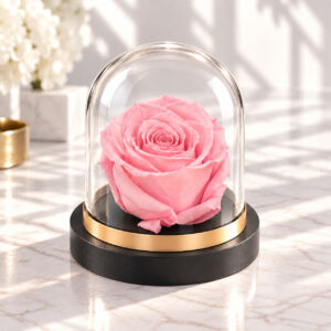 GLAM ROSE DOME BABY PINK
