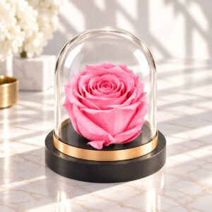 GLAM ROSE DOME MADELEINE PINK