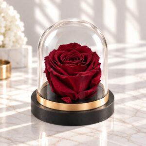 GLAM ROSE DOME BURGUNDY