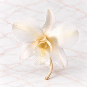DENFARE X 8 - PURE WHITE