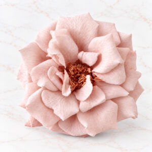 FRENCH MARIANNE X 12 - PINK BEIGE