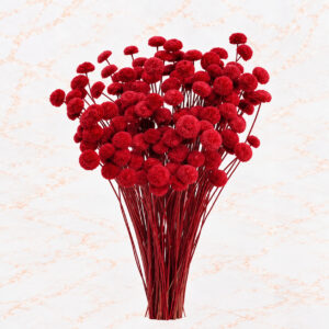 BOTON X 85 - CHERRY RED