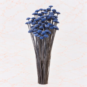 BOTON X 85 - ROYAL BLUE