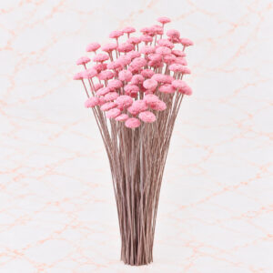 BOTON X 85 - CANDY PINK